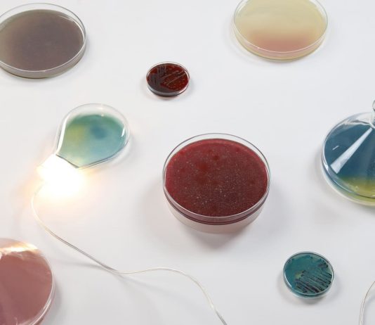 You Won’t Believe What These Lamps Are Made Of