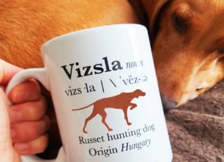 For the Love of Dogs: This Brand Caters to Vizsla Owners