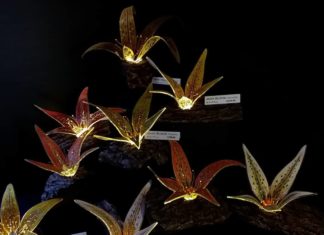 These Lamps Blend Nicely Into Their Natural Surrounding