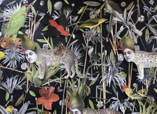 Fall Down the Rabbit Hole With Katie McCann’s Collage Art