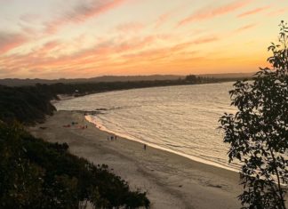 Plan Your Next Vacation with Gigi Hopkins