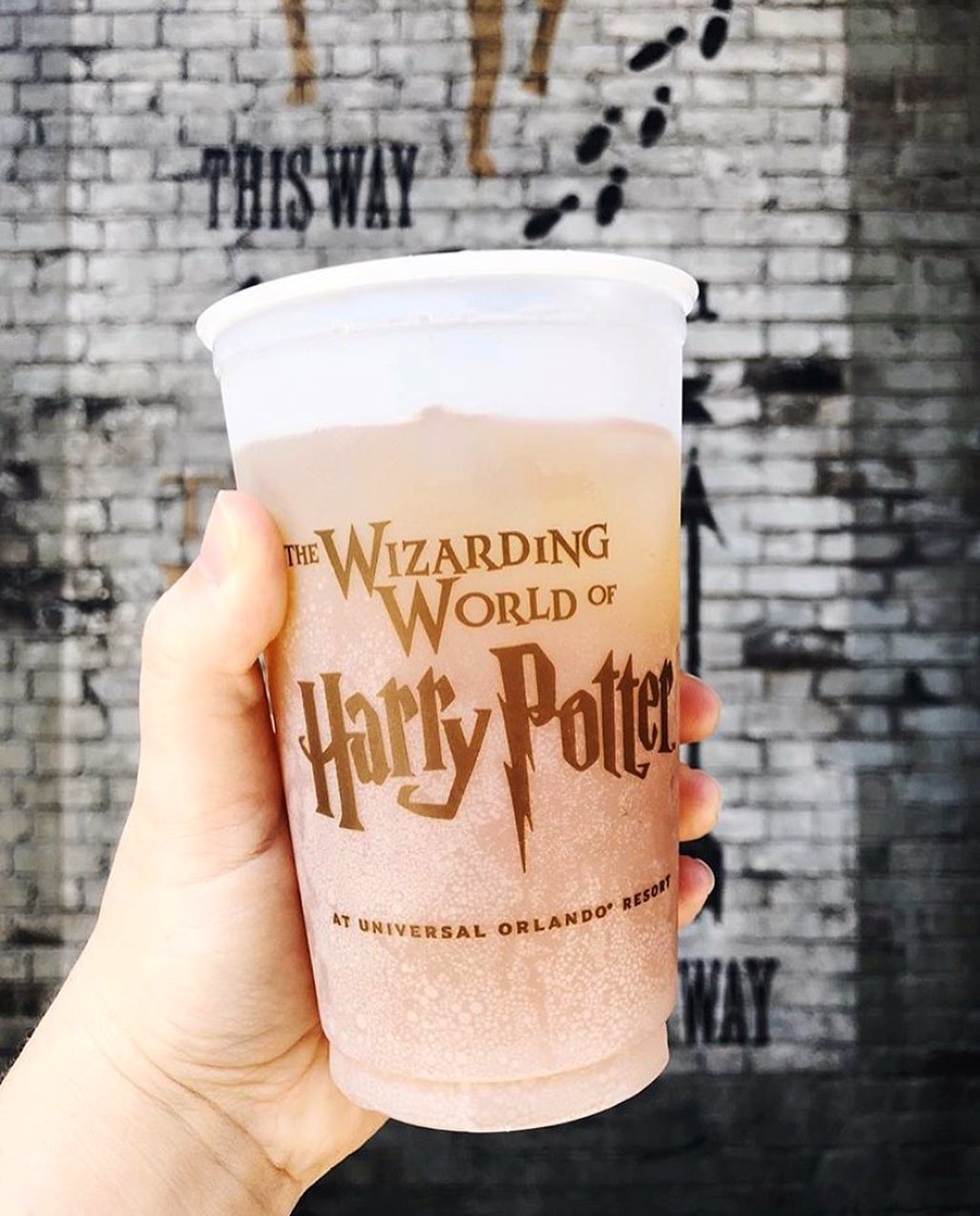 Follow the Instagram Page Dedicated to Harry Potter World at Universal ...