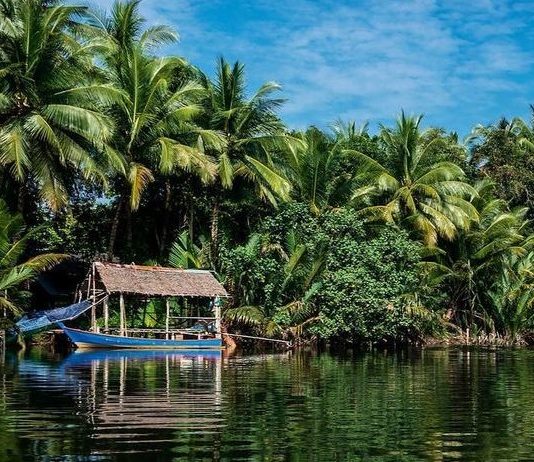 Experience a Different Kind of Traveling with I Like Local