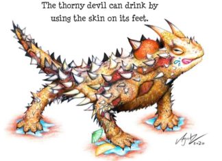 Agatz Uses Her Drawing Talent to Illustrate Interesting Facts