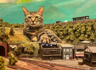 Stray Cats Save Diorama Restaurant in Japan