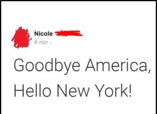 40+ “Terminally Stupid” People Showing a New Level of Dumbness