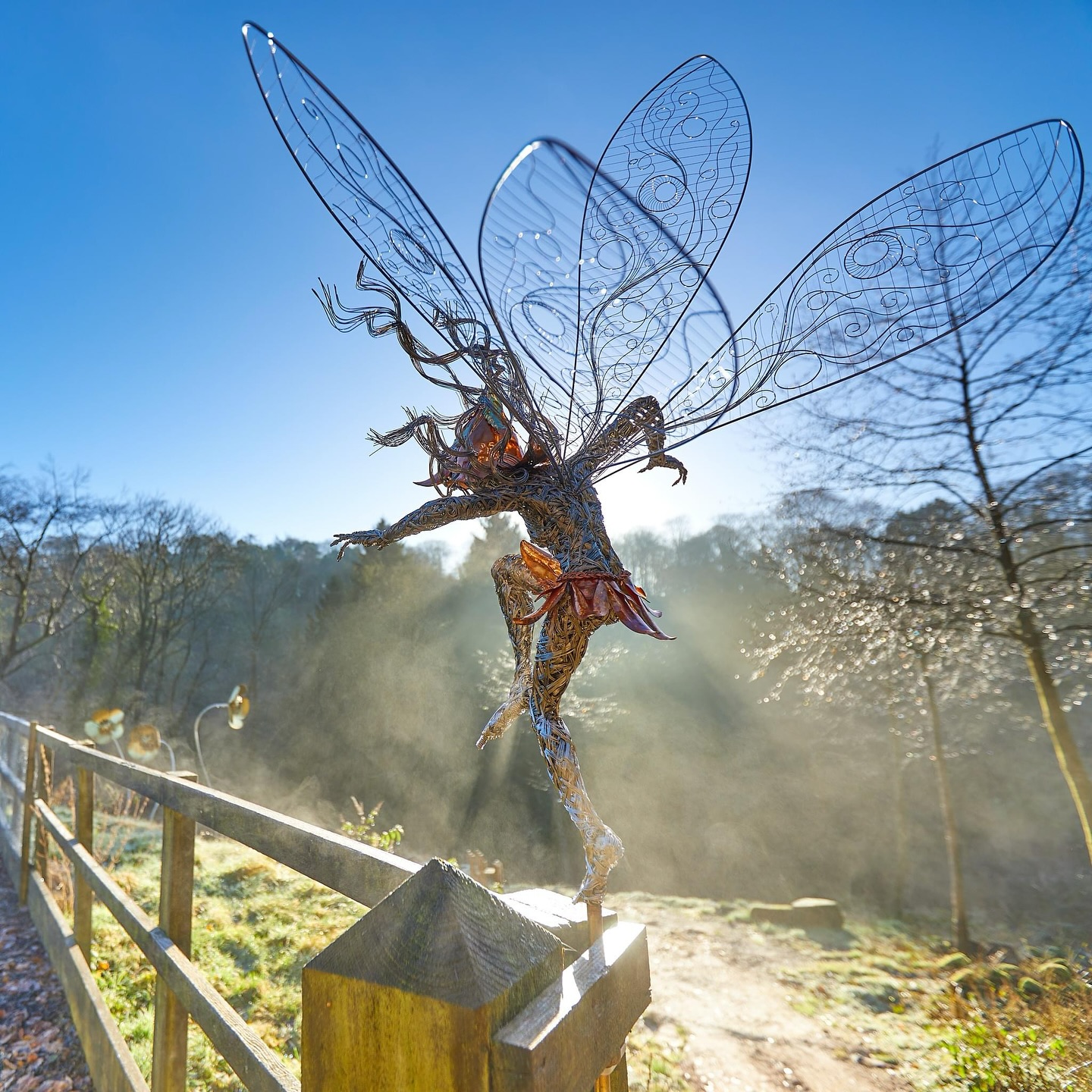 Artist Crafts Magical Sculptures of Fairies Using Metal Wire - TettyBetty