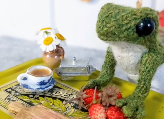 Stop-Motion Video Shows a Knitted Frog Making a Strawberry Pie for a Knitted Toad