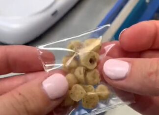 Viral TikTok Video Shows How to Make the “World’s Smallest Cookies”