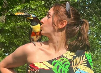 Maria Stagliano is Living Her Best Life With Chester the Toucan